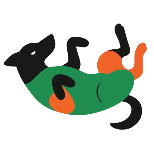 Pets felizes com segurança